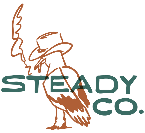 Steady Company